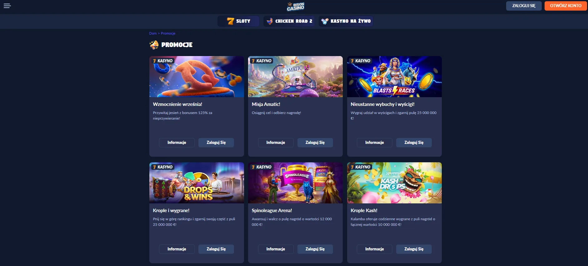 Aktualna lista promocji Bison Casino na oficjalnej stronie
