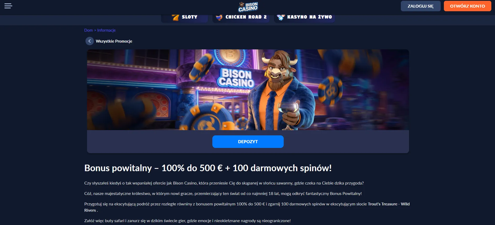 Aktualna karta promocji Bison Casino z oficjalnej strony bonusowej