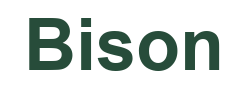 Bison Casino